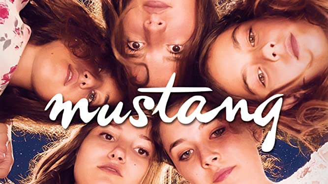 مشاهدة الفيديو